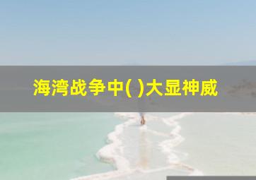 海湾战争中( )大显神威